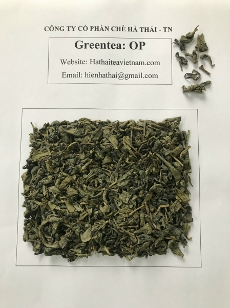 Trà xanh OP - Hà Thái Tea - Công Ty CP Chè Hà Thái Thái Nguyên